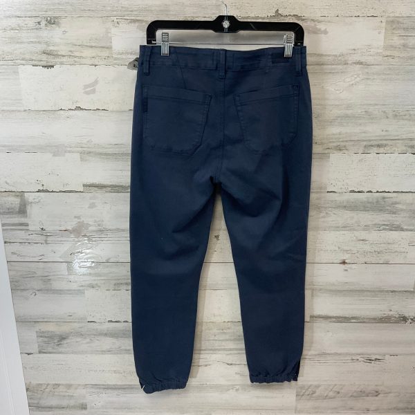 Pants Joggers By Paige In Blue, Size: 6 Online Sale