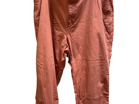 Pants Cargo & Utility By Old Navy In Pink, Size: 2x on Sale