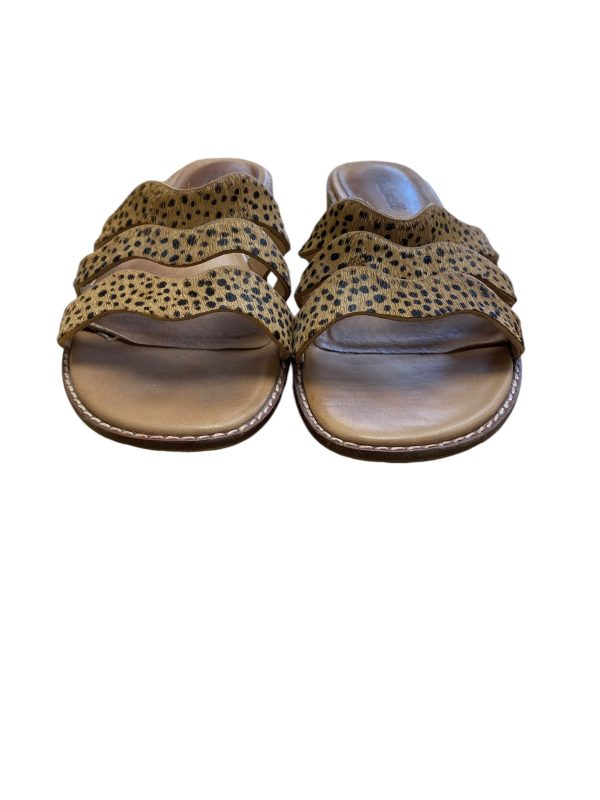 Sandals Flats By Madewell In Animal Print, Size: 8 Discount