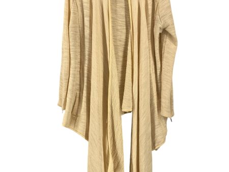 Cardigan By Altard State In Cream, Size: M Sale