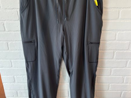 Athletic Pants By Eddie Bauer In Grey, Size: 16 Fashion